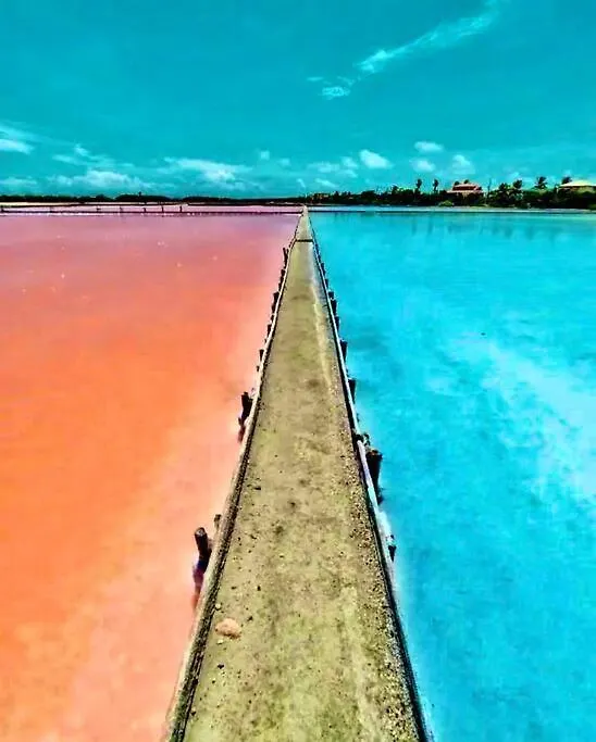 2-Br Modern Oceanfront Apt Steps From Playa Sucia Cabo Rojo 0*,