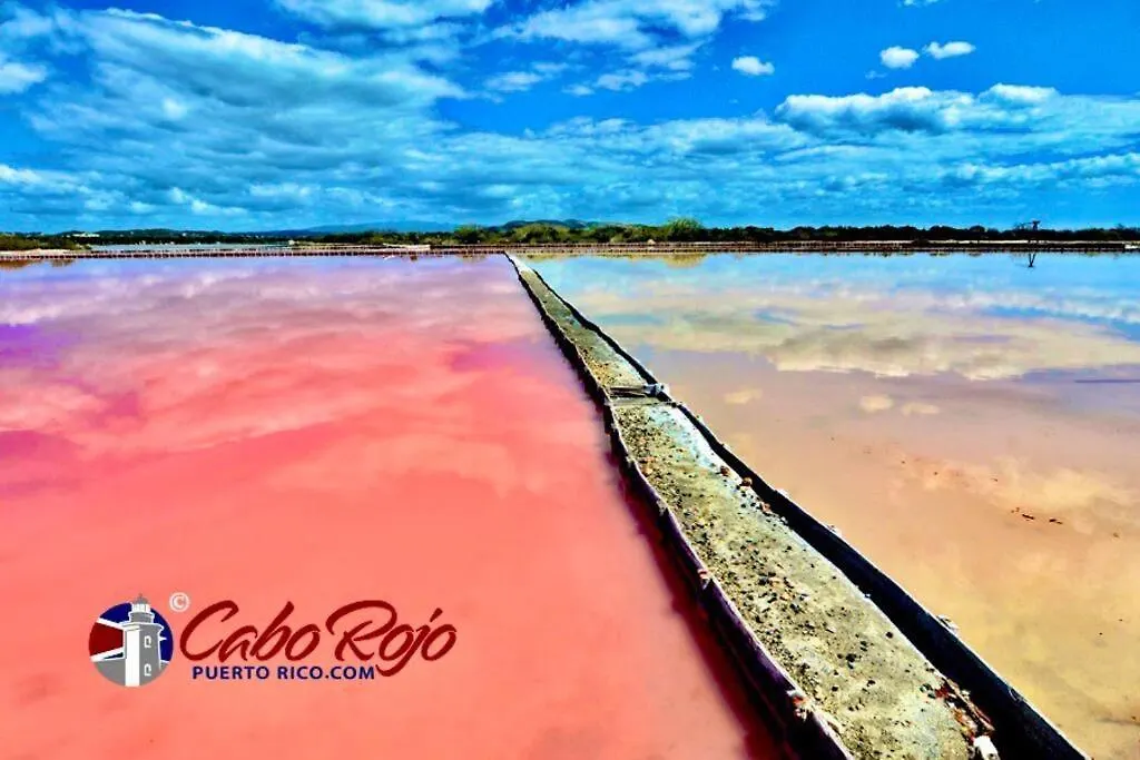 2-Br Modern Oceanfront Apt Steps From Playa Sucia Cabo Rojo Apartment